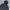 Earth Puffer Jacket Boxy