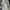Casual Minimalist Harrington jacket Pria multicolor photo 4