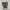 Adidas Forum Low Strap Cinder Original Rare photo 5