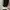 Karl Lagerfeld Duffle/Travel/Gym Bag photo 8