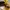 Kacamata Hitam GAZE Eyewear – Bold Round Edition