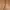 Cotton Belt