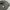 Nian Jeep Tactical Vest Multipocket photo 8