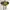 Jack Wolfskin Gorpcore Sportswear Bag Pria yellow black photo 1
