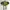 Jack Wolfskin Gorpcore Sportswear Bag Pria Yellow Black
