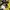 Jack Wolfskin Gorpcore Sportswear Bag Pria yellow black photo 5
