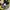 Jack Wolfskin Gorpcore Sportswear Bag Pria yellow black photo 6