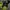Jack Wolfskin Gorpcore Sportswear Bag Pria yellow black photo 3