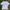 Scofield Golf Tee Tshirt  photo 1