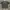 vintage tapout y2k big size photo 4