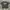 vintage tapout y2k big size photo 1