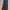 Bodycon dress Icons photo 1