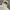 Partimento Harrington Jacket Casual Cream photo 2