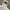Partimento Harrington Jacket Casual Cream