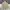 Partimento Harrington Jacket Casual Cream photo 1