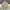 Partimento Harrington Jacket Casual Cream