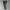 Lining jogger trackpant parachute photo 2