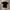 STUSSY photo 3