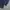 Triple J longpants unfinished washed denim blue jeans, photo 8