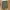 Arus the Brand Casual Y2K Crop top Wanita green photo 1