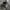 BAGGY JEANS BLACKWASHED (RIPPED) photo 6