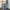 VINTAGE BALLON JEANS BLUE WASHED  photo 1