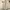 Fleece Pria green tan photo 5