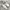 NEW BALANCE 1906r White Grey photo 1