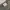 adidas longslave photo 4
