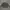 adidas longslave photo 1