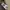 adidas longslave photo 6