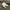 adidas longslave photo 5