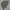 adidas longslave photo 2