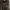 Bloush army photo 2