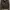 Bloush army photo 1