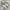 NEW BALANCE 1906r White Silver Gold photo 1