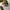 VANS Streetwear Sneakers Pria brown photo 3