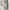 Vintage Casual Handbag Wanita cream photo 4