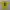 JERSEY ADIDAS KOLOMBIA HOME 2018/2019 JAMES ORIGINAL 100% photo 2