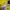 JERSEY ADIDAS KOLOMBIA HOME 2018/2019 JAMES ORIGINAL 100% photo 3