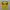 JERSEY ADIDAS KOLOMBIA HOME 2018/2019 JAMES ORIGINAL 100% photo 1
