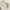 Luxury Minimalist Heels Wanita cream photo 1
