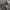 BAGGY JEANS DARKGREY photo 5