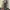 BALLON JEANS BLACK RAW photo 3