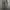 BALLON JEANS BLACK RAW photo 6