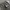BALLON JEANS BLACK RAW photo 5