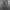BALLON JEANS BLACK RAW photo 4