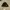 Banie hat  photo 1
