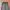 Spray Premium military Cargo pants photo 3