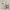 Keds Triple Up Metallic Woven photo 2